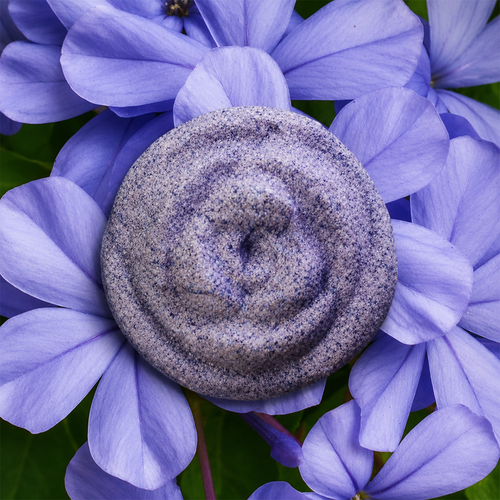 BLUEBERRY