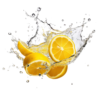 Citrus Splash